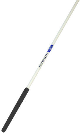 Pastorelli Practice RG ribbon stick 50cm