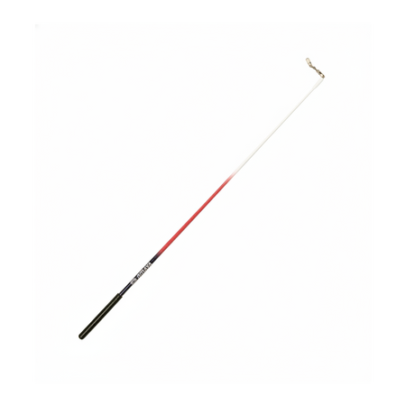 Baguettes AMAYA RG pour débutant 60 cm 
