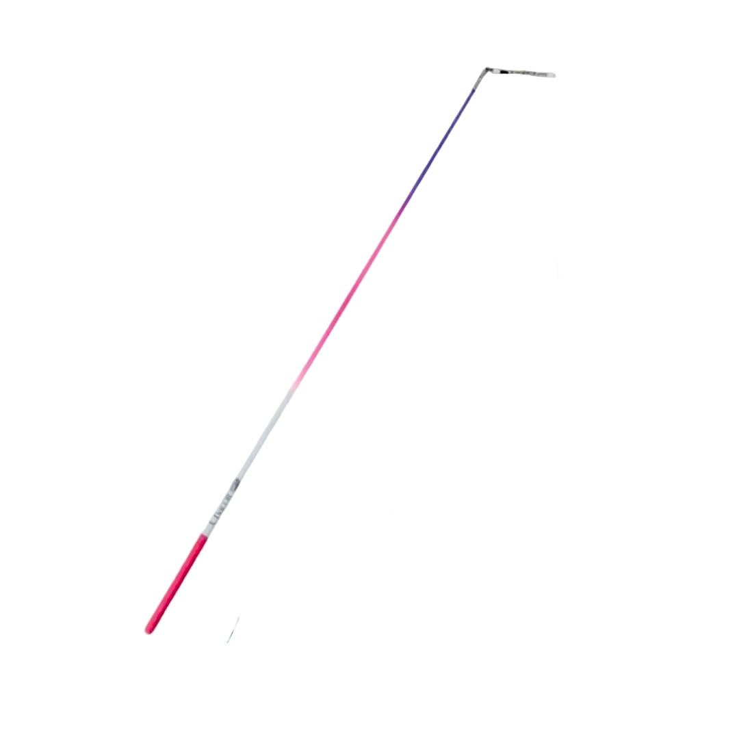 Bâton CHACOTT RG HOLOGRAMME-FIG-approuvé