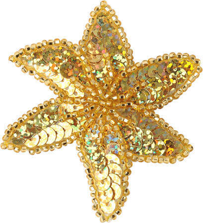  Pince à cheveux en forme de fleur